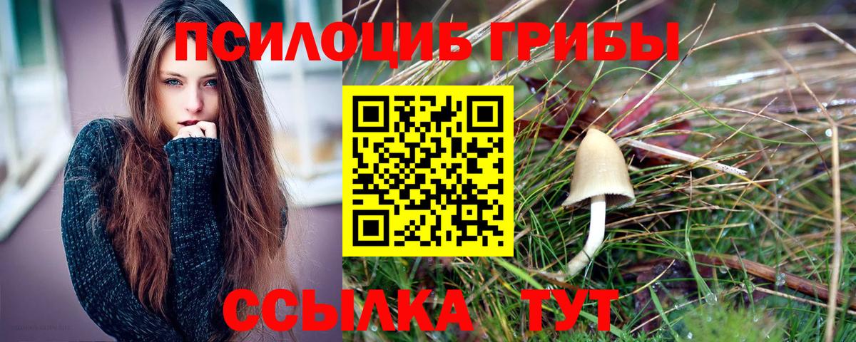 Псилоцибиновые грибы прущие грибы Туймазы