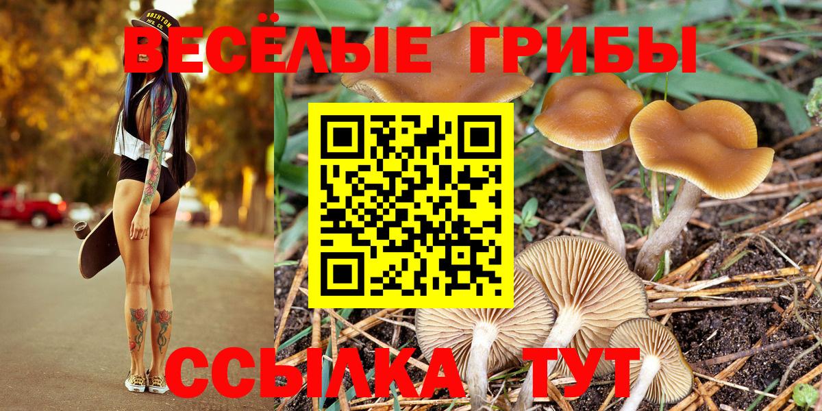 Туймазы  Галлюциногенные грибы ЛСД  Вход с VPN 